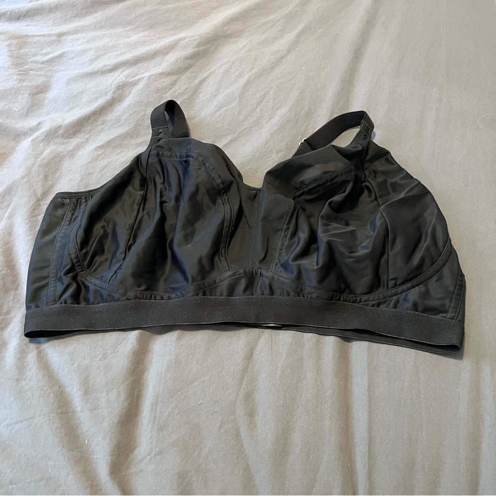 Lara Intimates Eleni bra UK 40FF /  US 40H sheer sexy black